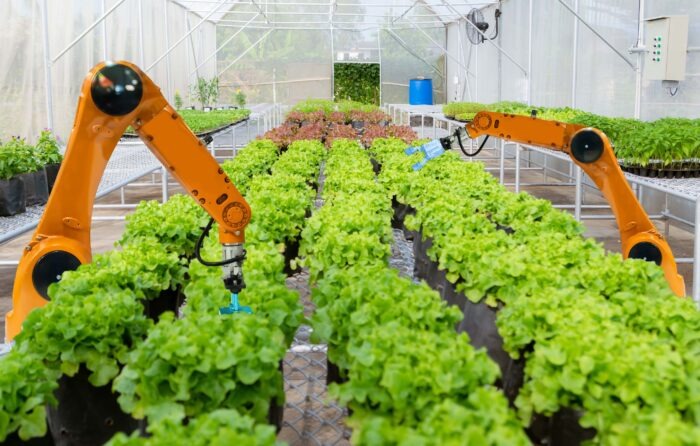 Robotics In Agriculture