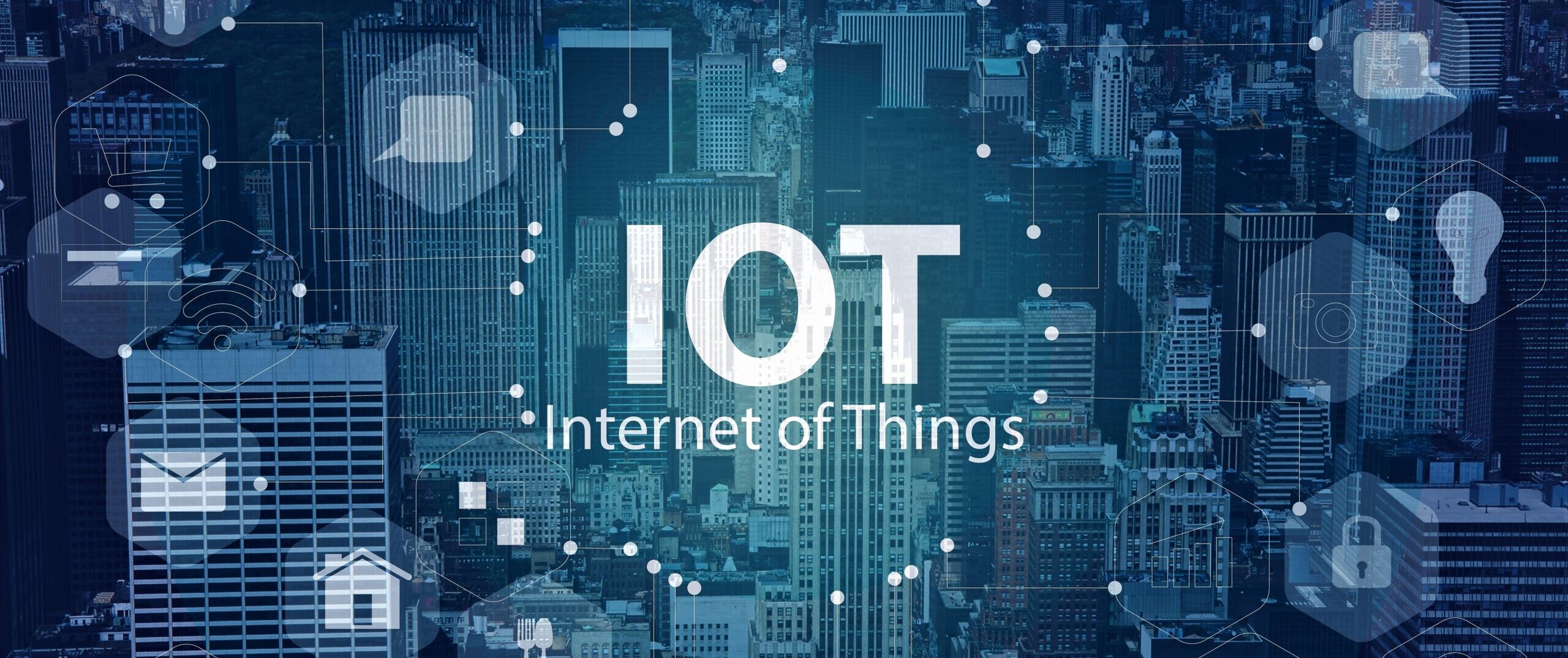 IoT Services Provider