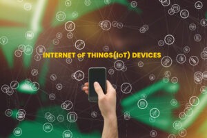 Internet of Things IoT Devices as the backbone of the IoT